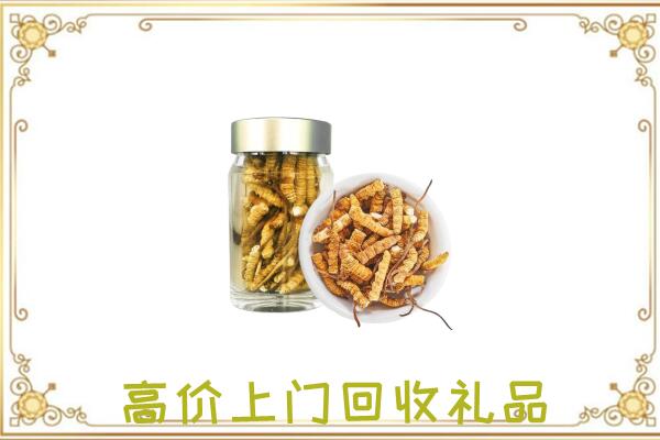 成都周边回收虫草